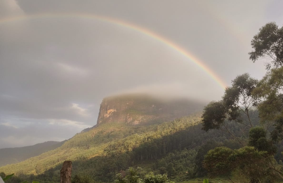 Mist over Kanthalloor
